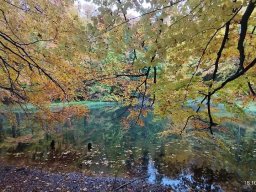 56632134312824035503542573418011194396246731n